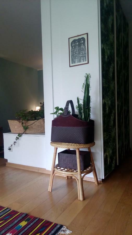 Garden Studio 55 S.M. เอเธนส์ ภายนอก รูปภาพ