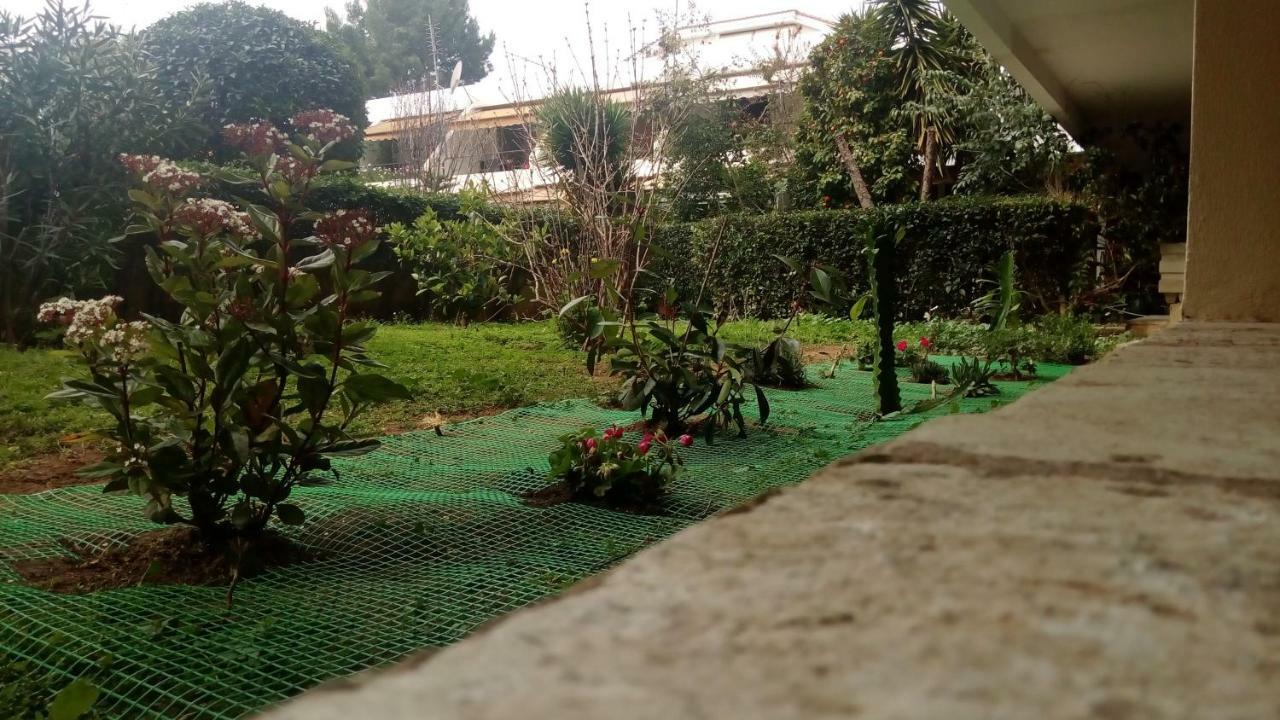 Garden Studio 55 S.M. เอเธนส์ ภายนอก รูปภาพ